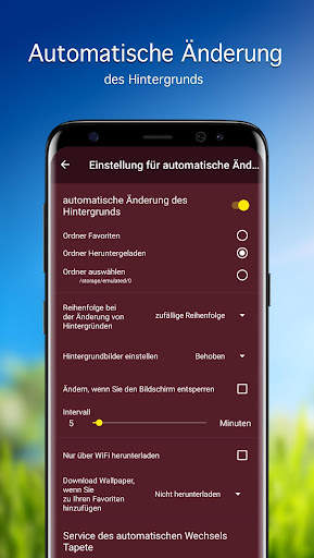 Hintergrundbilder mit Tulpe 4K screenshot 4