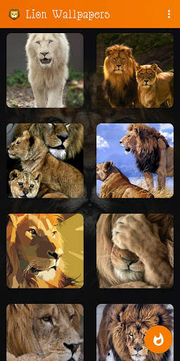 🦁 Lion Wallpaper : Wild King Backgrounds screenshot 3