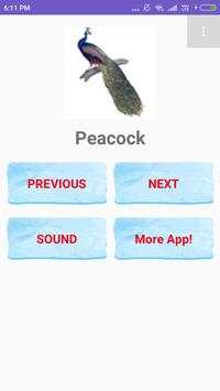 Birds Name with spelling and Picture 🐔 🐓 🐦 screenshot 4