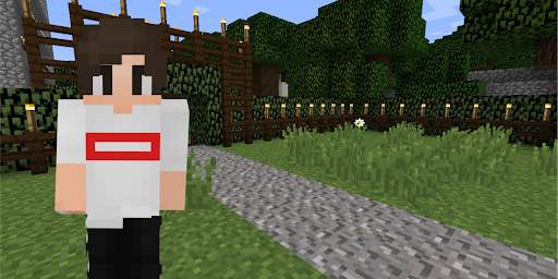 Casual Skin pack for Minecraft screenshot 1