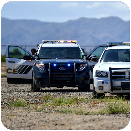 conductor del coche de policía icon