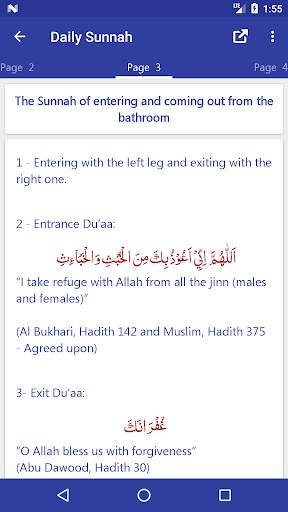 Daily Sunnah - The Sunnah of Beloved Prophet (ﷺ) screenshot 4