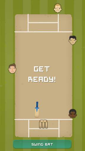 Village Cricket screenshot 1