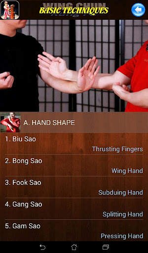 Wing Chun Kung Fu screenshot 8