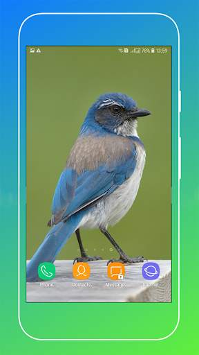 Bird Wallpaper screenshot 5