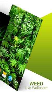 Weed Live Wallpaper screenshot 4