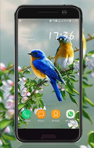Bird Wallpaper screenshot 8