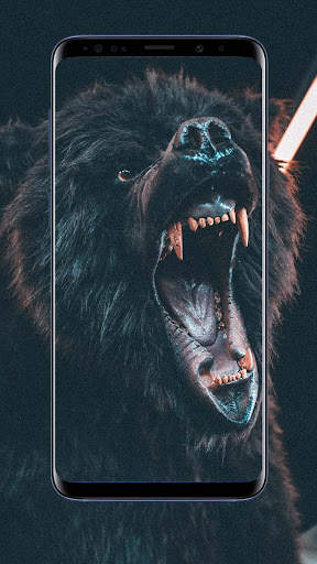 Angry Wallpaper स्क्रीनशॉट 4