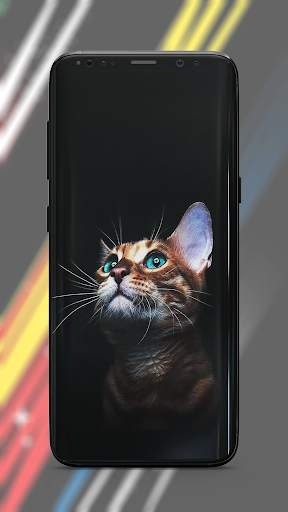 Amoled Wallpaper screenshot 6