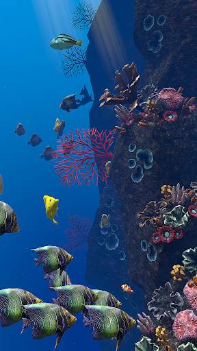 OCEAN AQUARIUM Live Wallpaper FREE screenshot 10