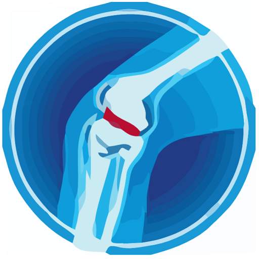 Knee Pain - Physical Therapy Exercises 1.3
