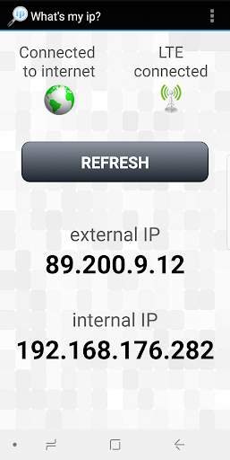 What's my ip? screenshot 3