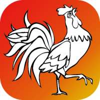 Glitter Bird Coloring Pages Game for kids🐦