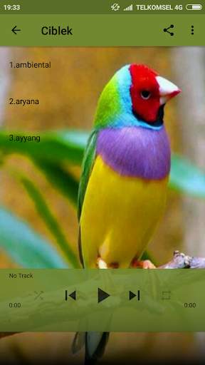 Kicau Burung screenshot 4