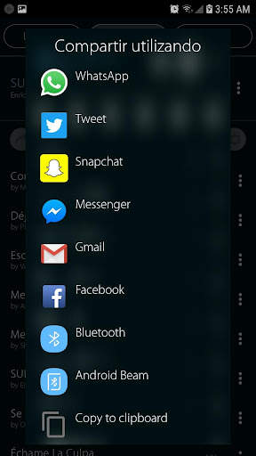 Reproductor Mp3 screenshot 17