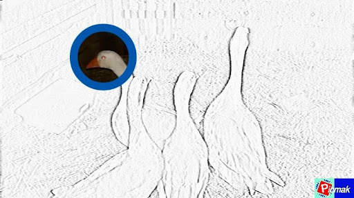 Picmak Photo screenshot 14