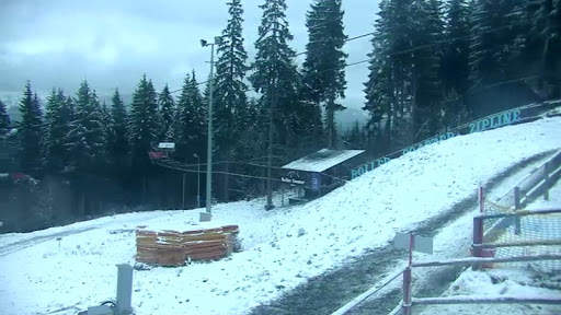 Ski Cams Ua screenshot 8