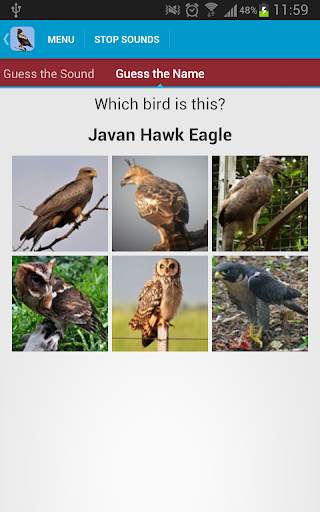 Birds of Prey Sounds Free screenshot 5