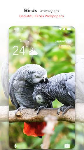 🦅 Birds Wallpaper HD स्क्रीनशॉट 2