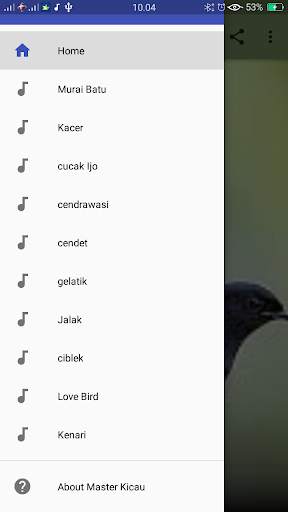 Master Birds song स्क्रीनशॉट 2