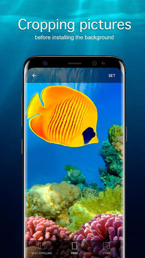 Fish Wallpapers PRO screenshot 3