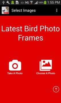 Birds New 3D Photo Frames 2017 screenshot 1