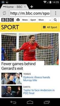 Internet Web Browser screenshot 5