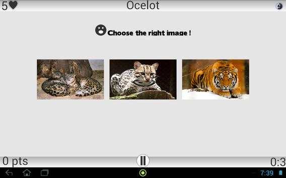 Animals screenshot 2