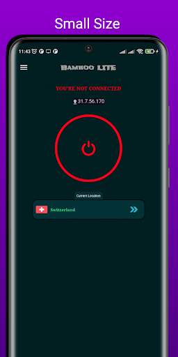 Bamboo VPN Lite screenshot 1