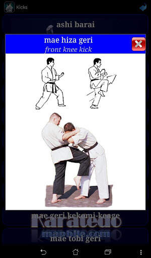 Karate WKF screenshot 10