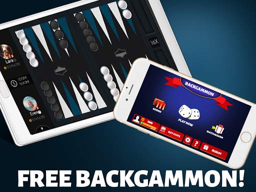 Backgammon Offline screenshot 6