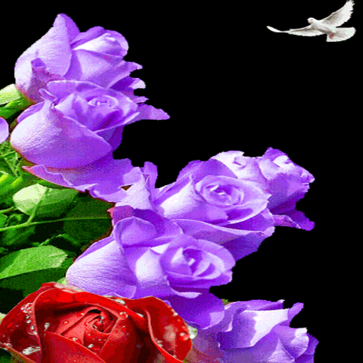 Color Changing Roses LWP иконка