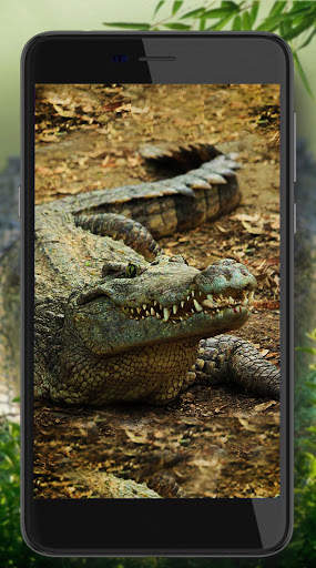 Crocodiles Tropical screenshot 7