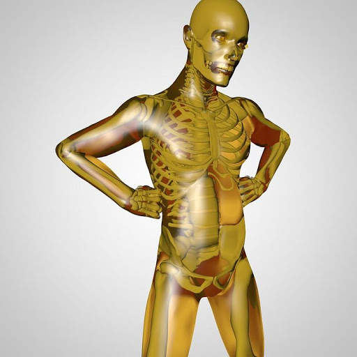 Learn Human Organs Works screenshot 1