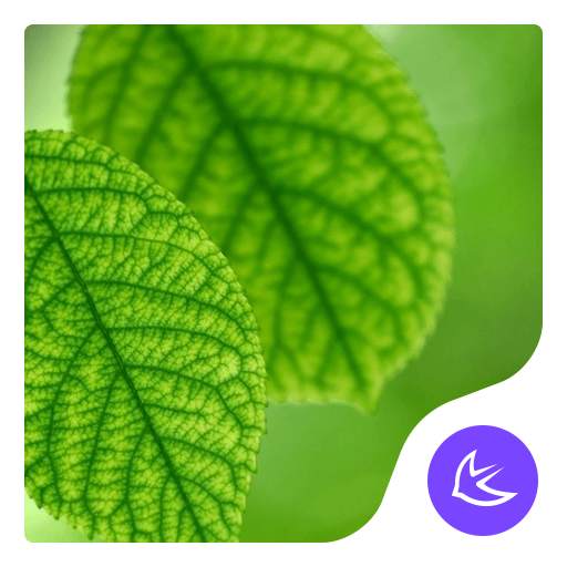 Green|APUS Launcher theme 668.0.1001
