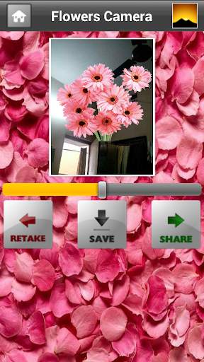 Flowers Camera screenshot 3
