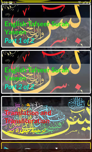 Yaseen MP3 Offline screenshot 6