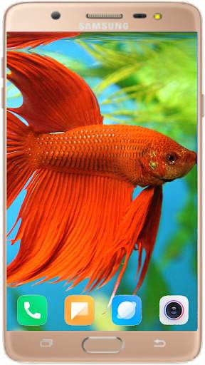 Betta Fish Wallpaper screenshot 2