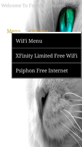 Free WiFi Access screenshot 5