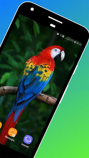 Parrot Wallpaper screenshot 2