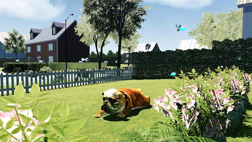 Bull Dog Simulator screenshot 9