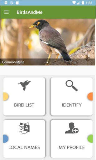 Birds And Me - a Bird reference guide screenshot 1