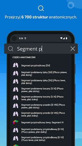 e-Anatomy screenshot 3