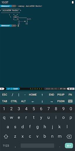 JuiceSSH - SSH Client screenshot 3