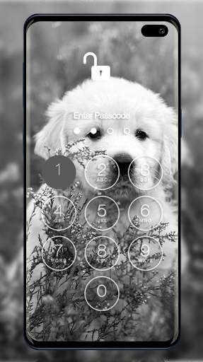 Golden Retriever Wallpapers & Lock Screen screenshot 5