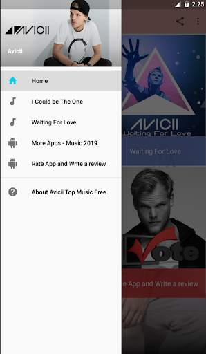 Avicii Top Music Free screenshot 3