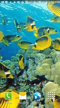 Ocean Fish Live Wallpaper screenshot 1
