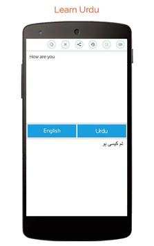 Urdu English Translator скриншот 3