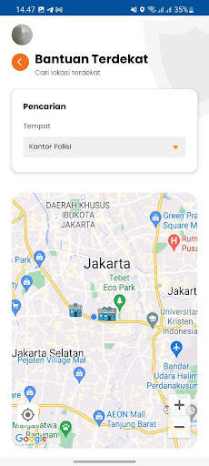 BRINSmobile screenshot 6