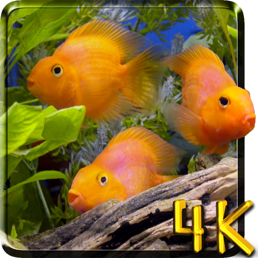 Aquarium 4K Live Wallpaper icon